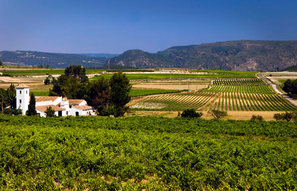 La Toscana valenciana: turismo rural enológico