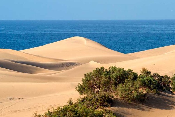 qué hacer en las Palmas durante un fin de semana