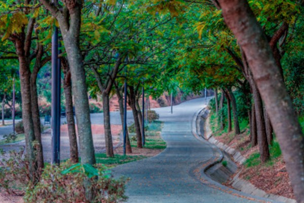 Paisajes naturales en Huelva- Parque Moret