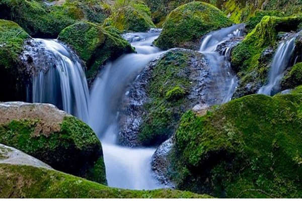 Parque Natural de Valderejo-qué ver en Álava