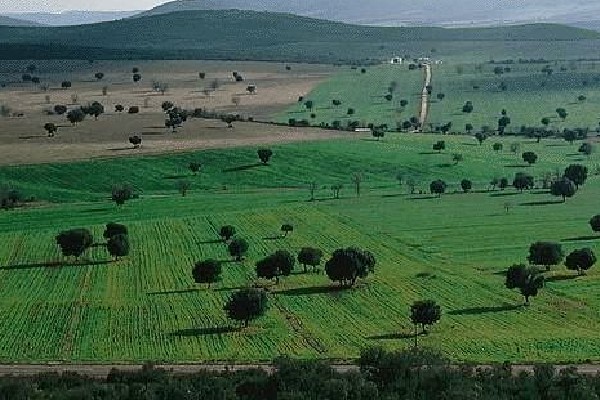 Que ver en la provincia de Toledo