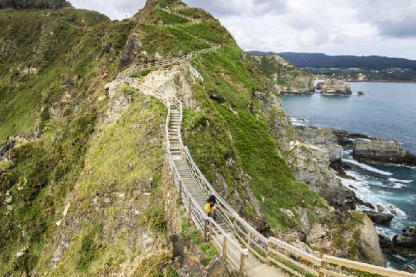 1.Viveiro Ruta de Senderismo Galicia