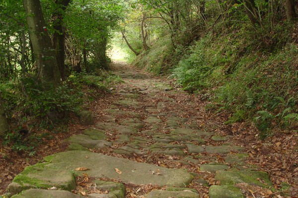 Rutas de senderismo en Cantabria