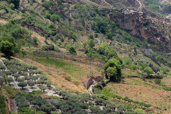 Rutas de senderismo en Almería