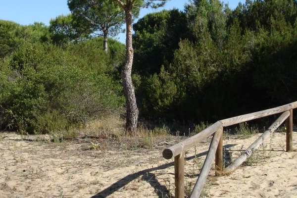 Rutas de senderismo para hacer en Cádiz