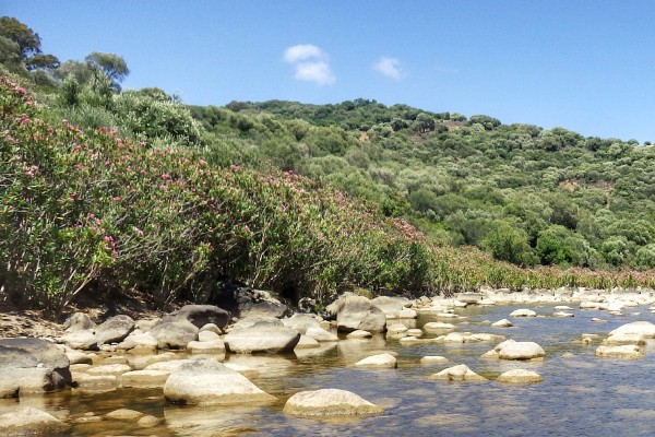 rutas de senderismo en Jimena de la Frontera Cádiz