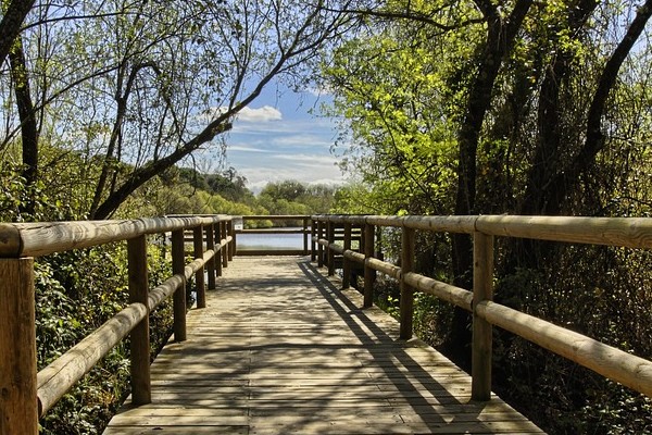 Qué es lo más bonito de Huelva, Parque Nacional de Doñaña