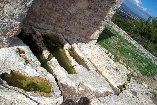 Tumbas antropomórficas de la Necrópolis San Miguel