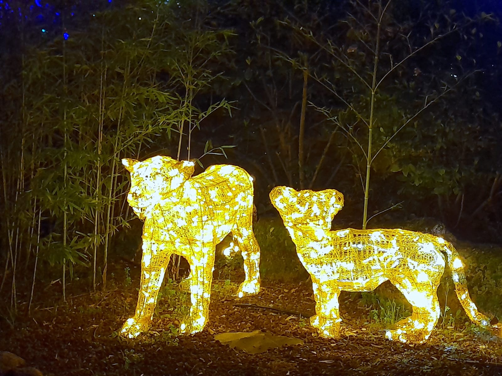 Fotografía de El Bosque Encantado en La Sierra Oeste de Madrid