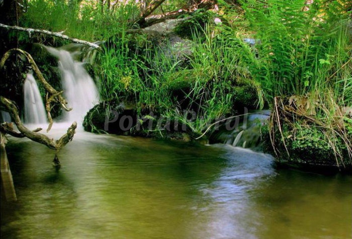 ¡Descubre la belleza rural de Salamanca este verano!