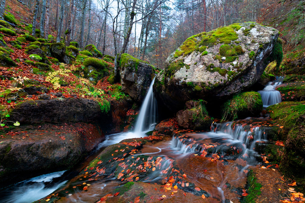 Descubre la belleza de la Sierra Cebollera