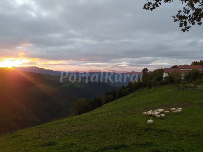 Descubre la belleza de la provincia de Guipúzcoa, un destino turístico que te sorprenderá con su historia, cultura y naturaleza