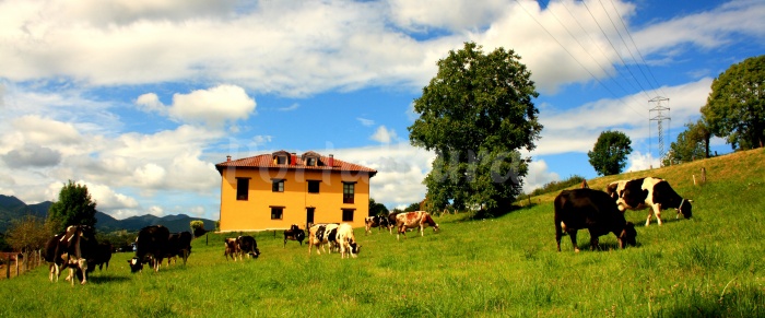 Piloña, el destino perfecto en Asturias para los amantes de la autenticidad