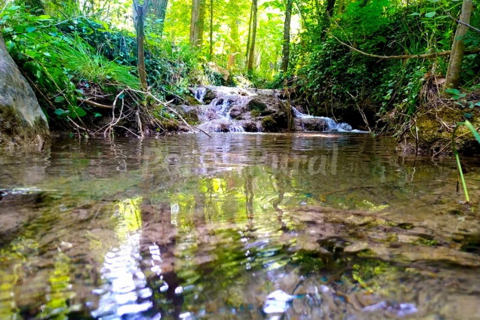 ¡Descubre la belleza de Siles en Jaén: tu destino perfecto para una escapada rural!