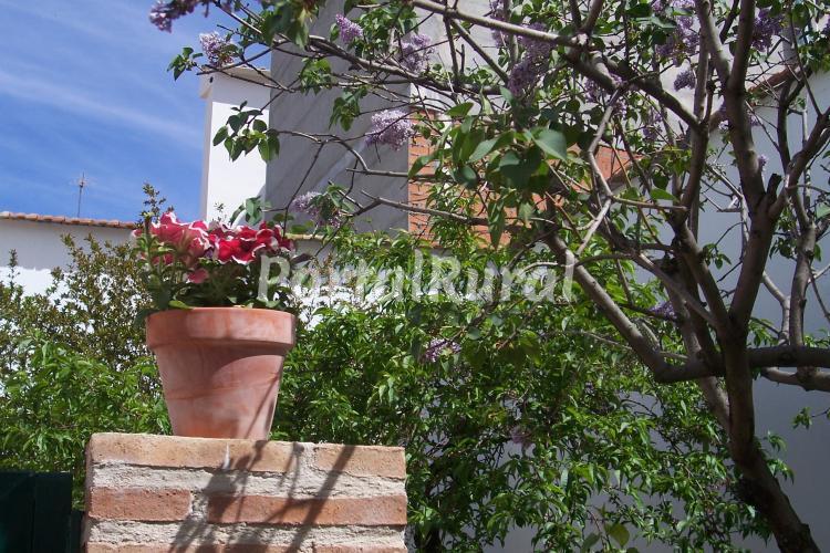 Foto 5 de Casa De La Ermita