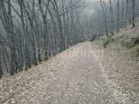 ENTORNO