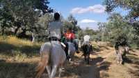 paseo a caballo propietarios