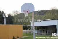 CANASTA BALONCESTO