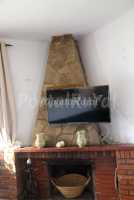Chimenea Tv wifi