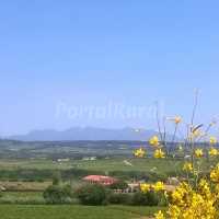 vistas alrededodes