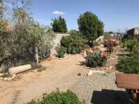 jardín