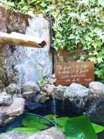 Fuente en el jardín