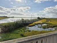 Foto 7 de Casa Deltanatura · Grupos · Delta Del Ebro