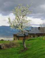 Foto 3 de Ruralmédulas En Las Medulas - El Bierzo