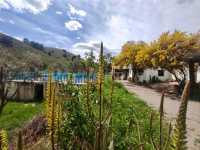 Jardín casa