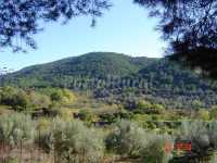 Foto 8 de Los Rios De La Calderona