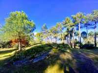 Foto 21 de La Cabaña De La Abuela 