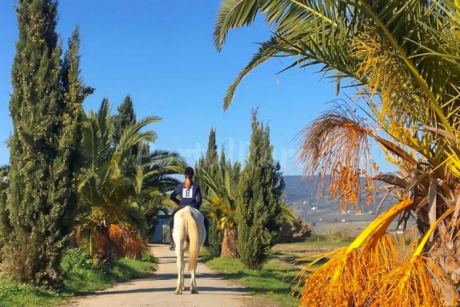 Finca El Vicario
