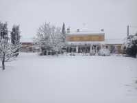 NEVAZO