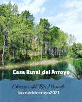 Arroyo 