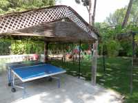 Ping pong y jardín