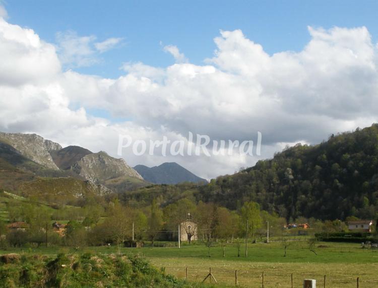 Foto 1 de El Arbolín