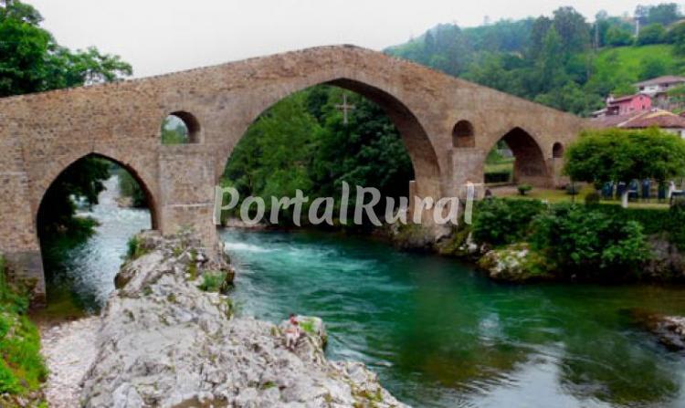 Foto 2 de El Arbolín