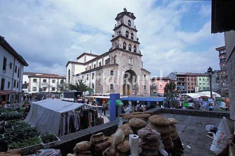 Foto 5 de El Arbolín