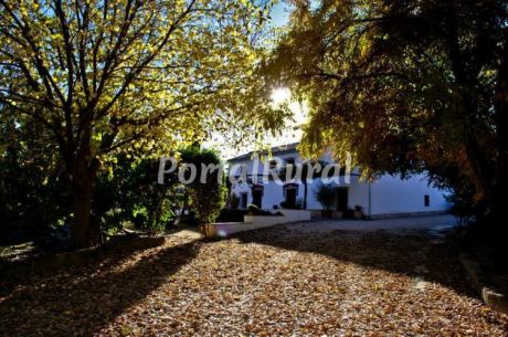 Finca Buytron