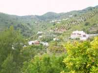 Vista desde abajo