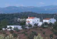 Foto 5 de Cortijo Nª Sra De Las Angustias