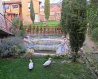 Foto 12 de Valle Del Duero