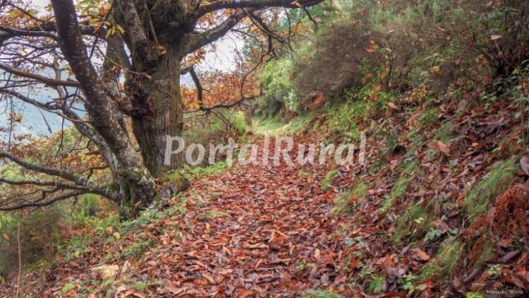 Foto 6 de Cabeza Da Vila