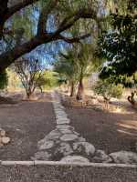 Jardín2