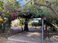 Jardín3