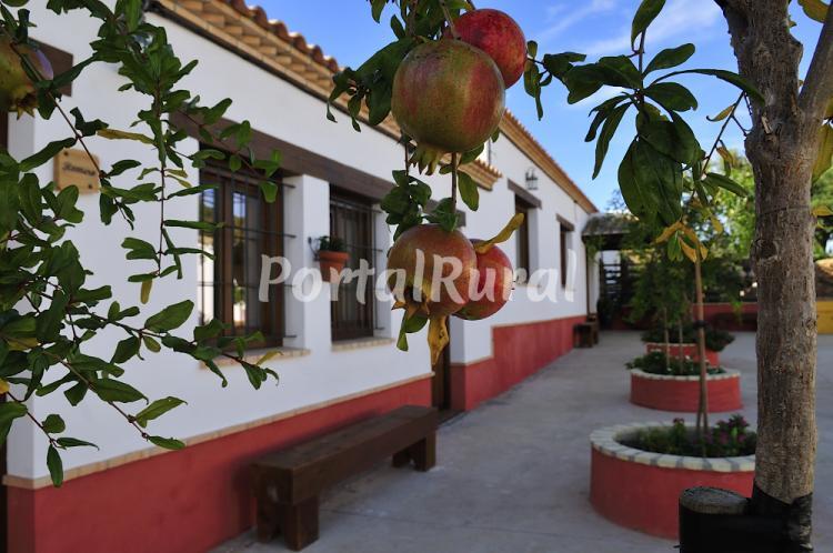 Ver alojamiento anterior