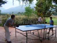 Ping pong