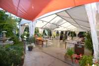 Carpa eventos