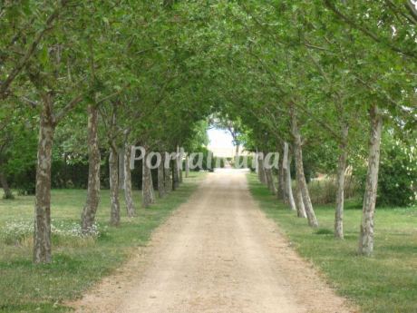 El Estanque del Polear