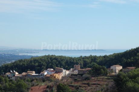 Can Julià